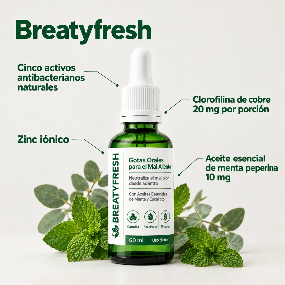 Breaty Fresh